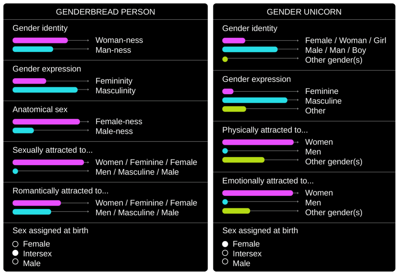 Schematisation of the Genderbread Person and the Gender Unicorn