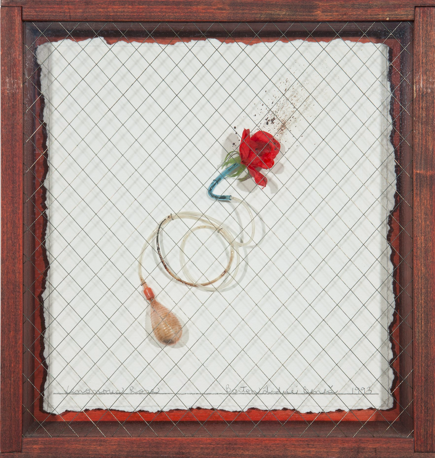 Lethal Weapons: Venomous Rose, 1993. Barton Lidicé Beneš / Courtesy of Pavel Zoubok Gallery